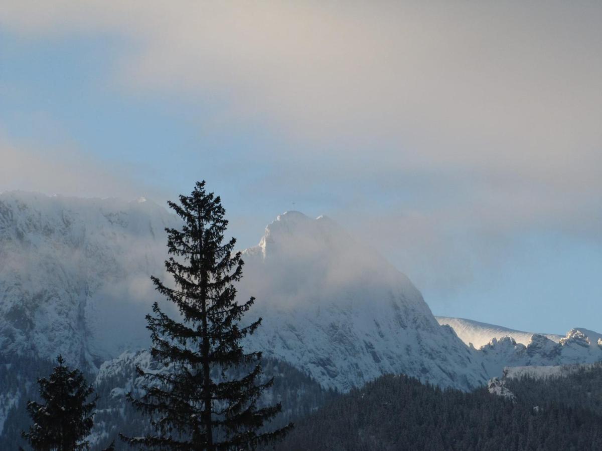 Domek Na Zaciszu Zakopane Extérieur photo